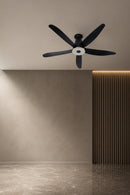 Ceiling Fan