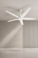 Ceiling Fan