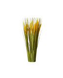 Flower Wheat